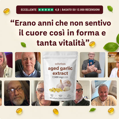 Salvini Labs - Odorless Aged Garlic
